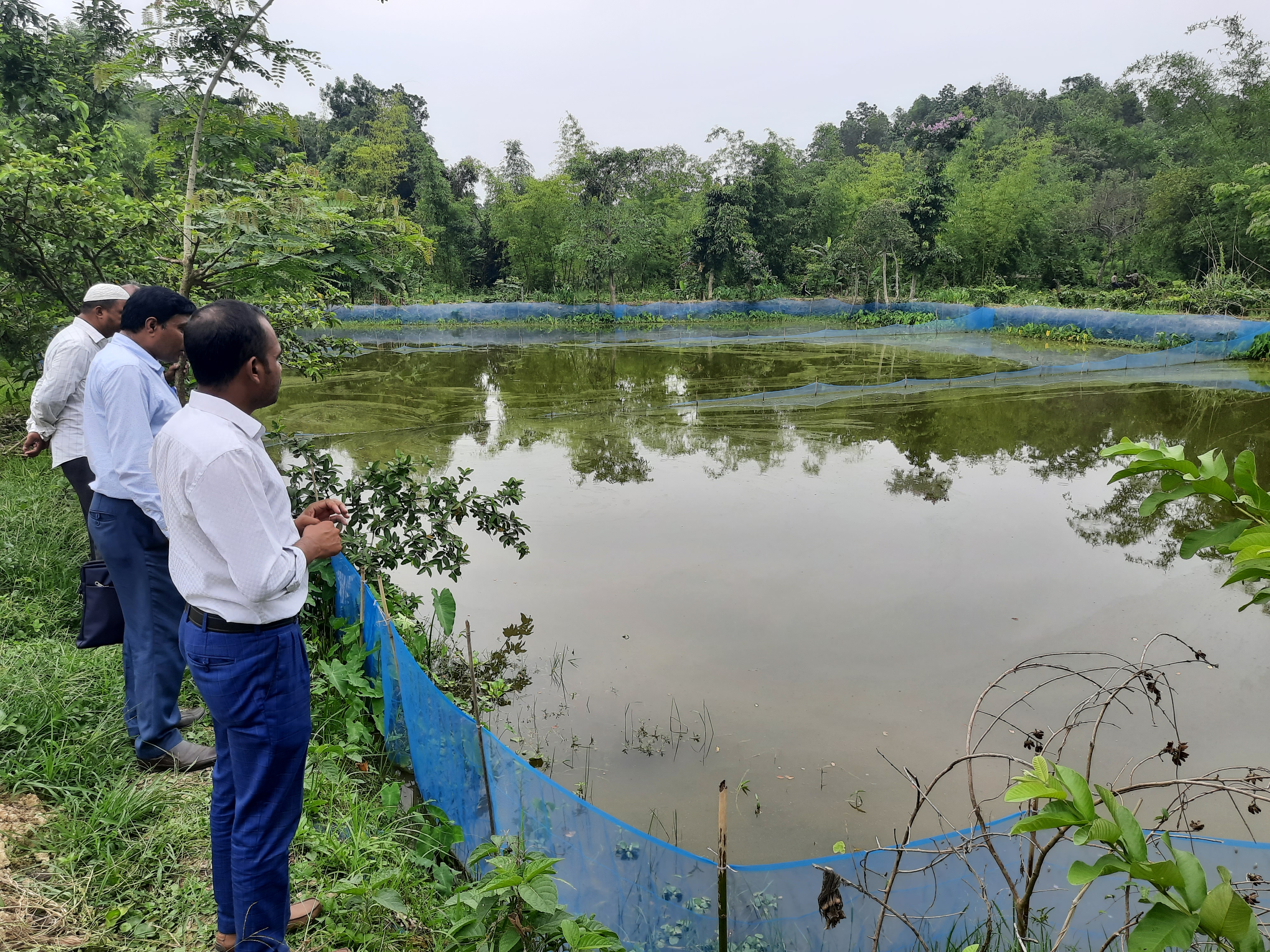 বদ্ধ জলাশয়-নার্সারী পুকুর