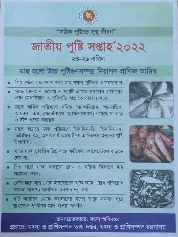 মাছের পুষ্টিগুন