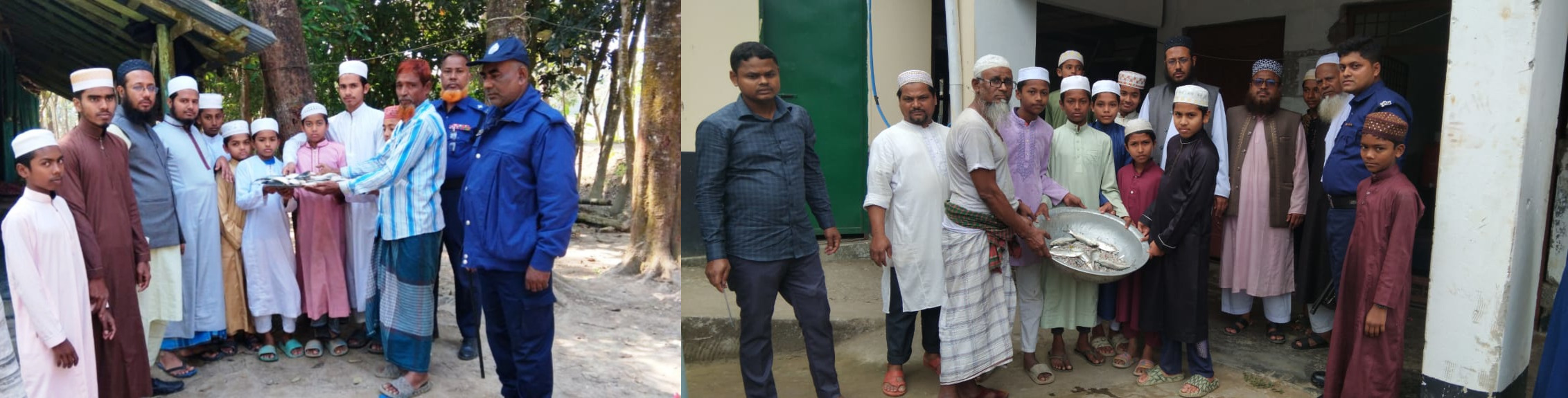 আটককৃত জাটকা বিতরণ