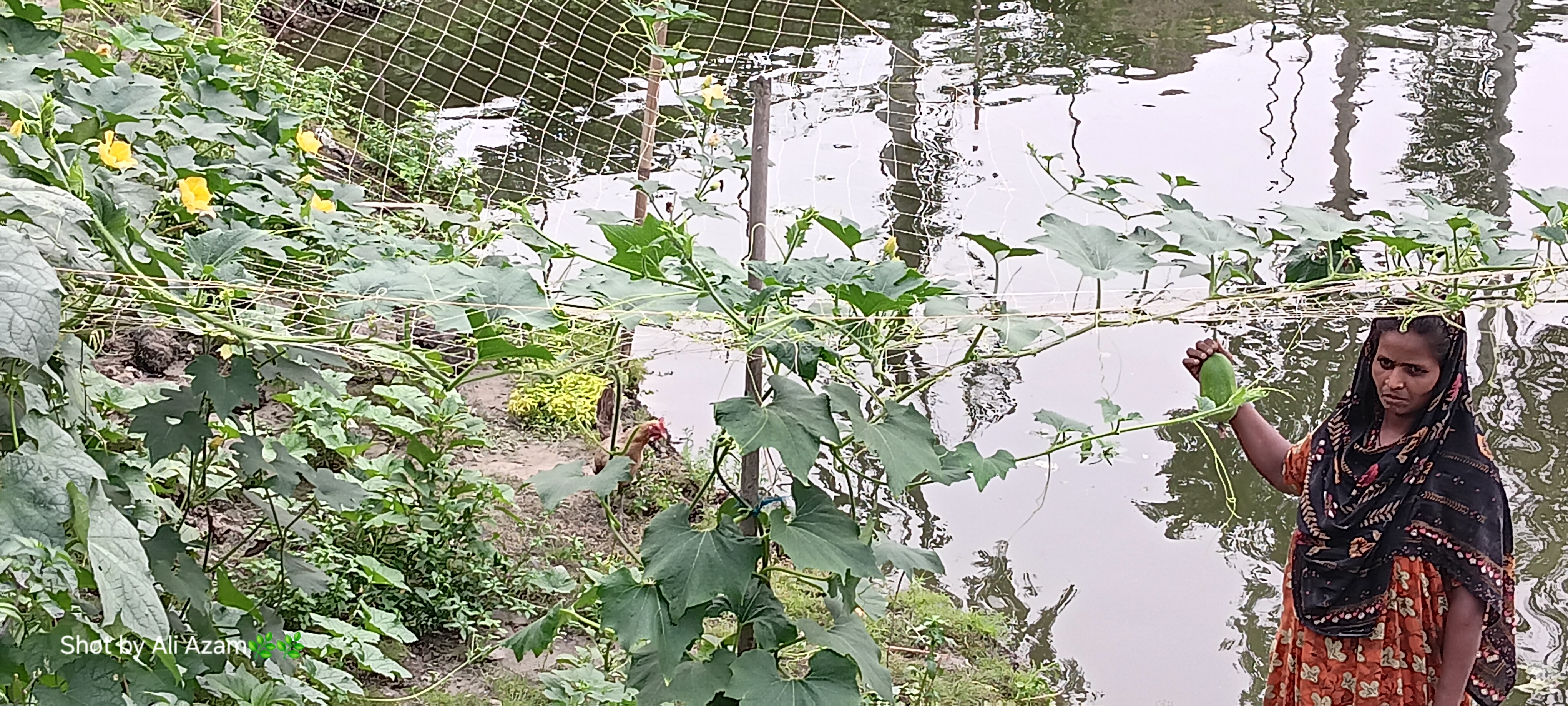 প্রদর্শণী