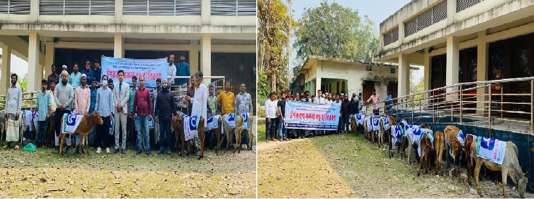 বিকল্প কর্মসংস্থান