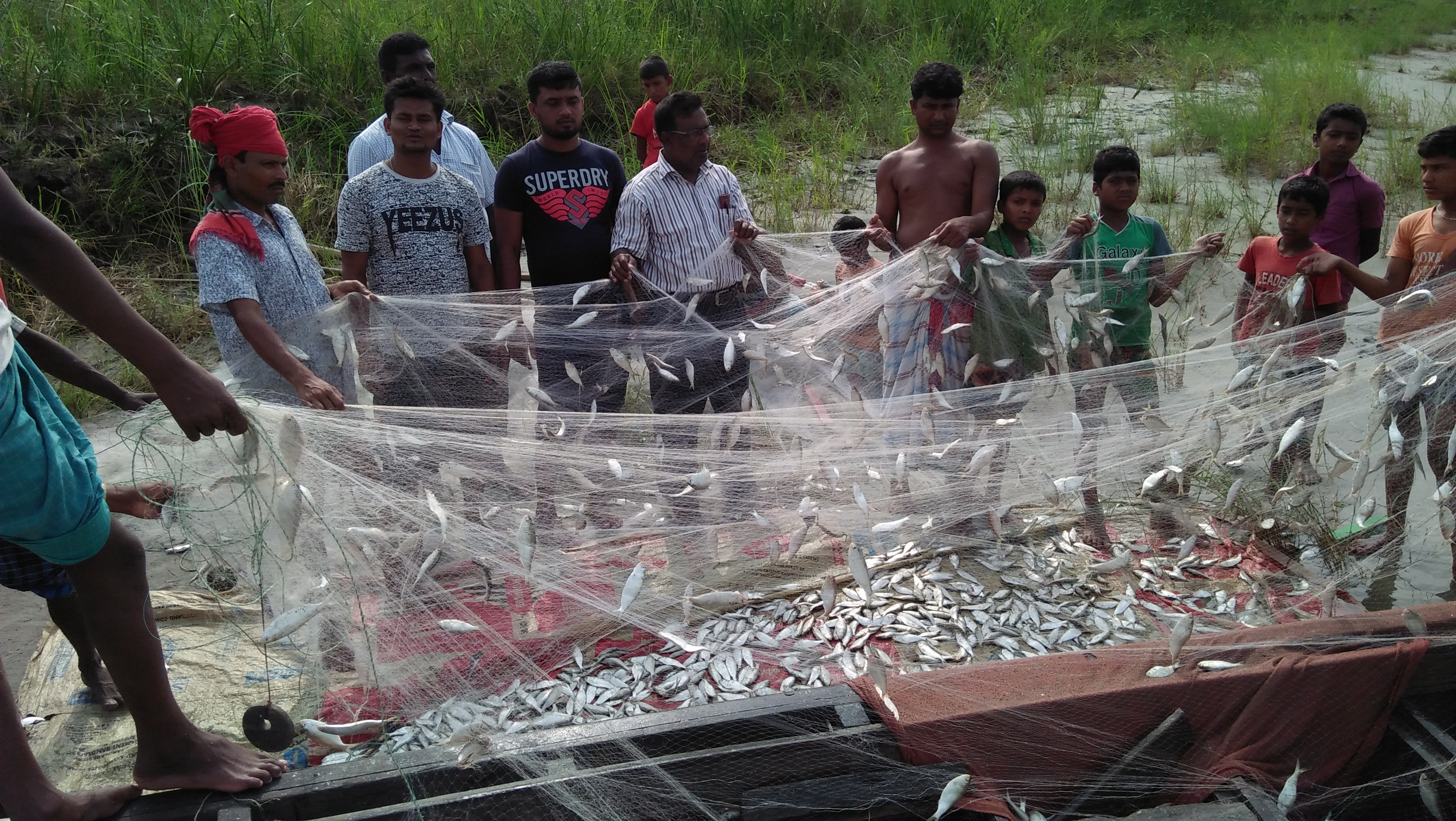 মা-ইলিশ কার্যক্রম