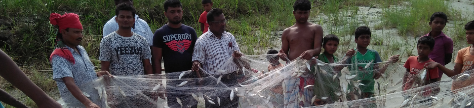 মা-ইলিশ কার্যক্রম