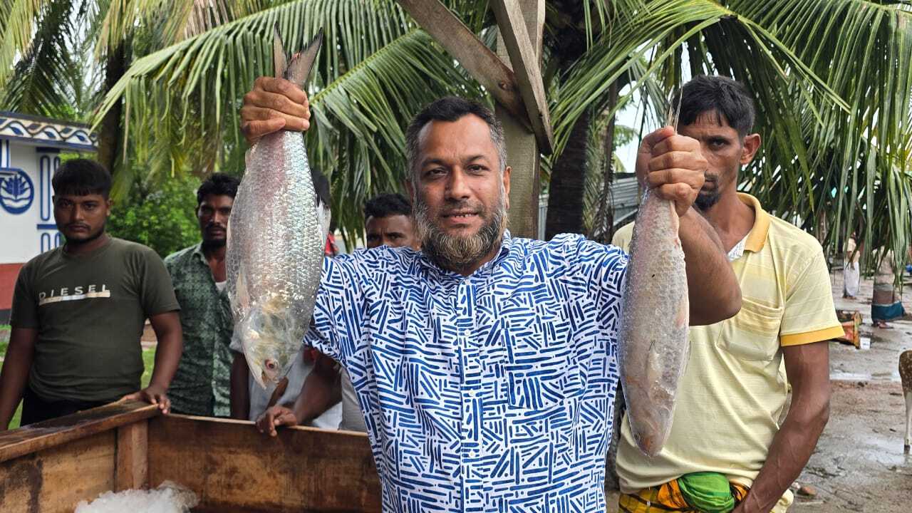 ইলিশ মাছ