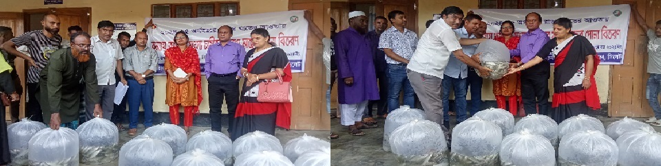 বন্যায় ক্ষতিগ্রস্ত মৎস্য চাষীদের মধ্যে মাছের পোনা বিতরণ ২০২৪-২০২৫