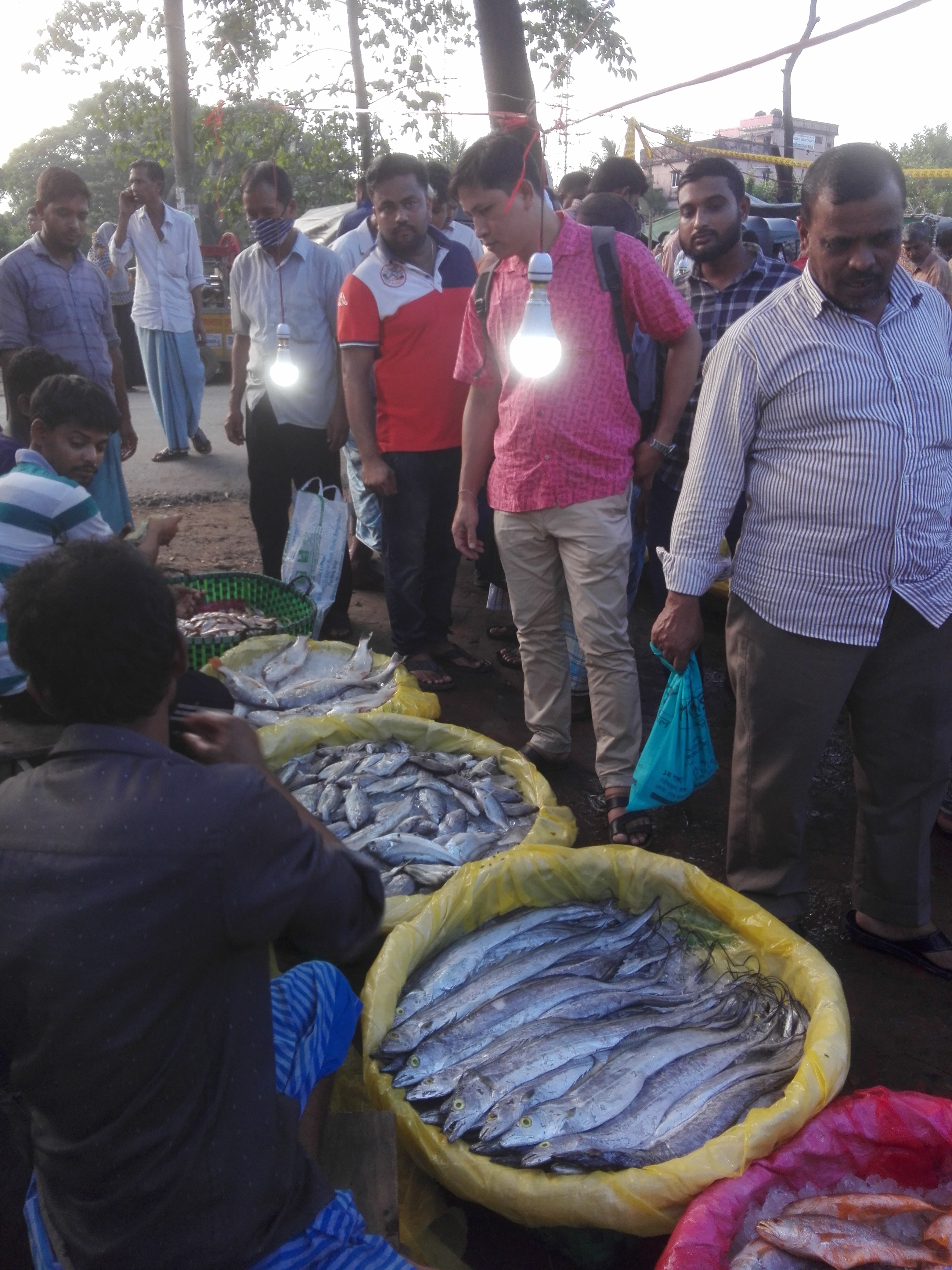 অভিযান পরিচালনা