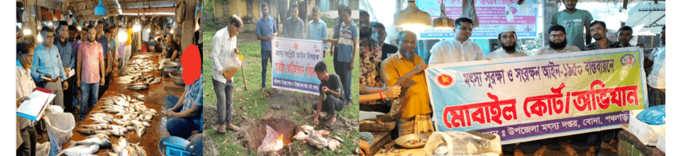 মোবাইল কোর্ট