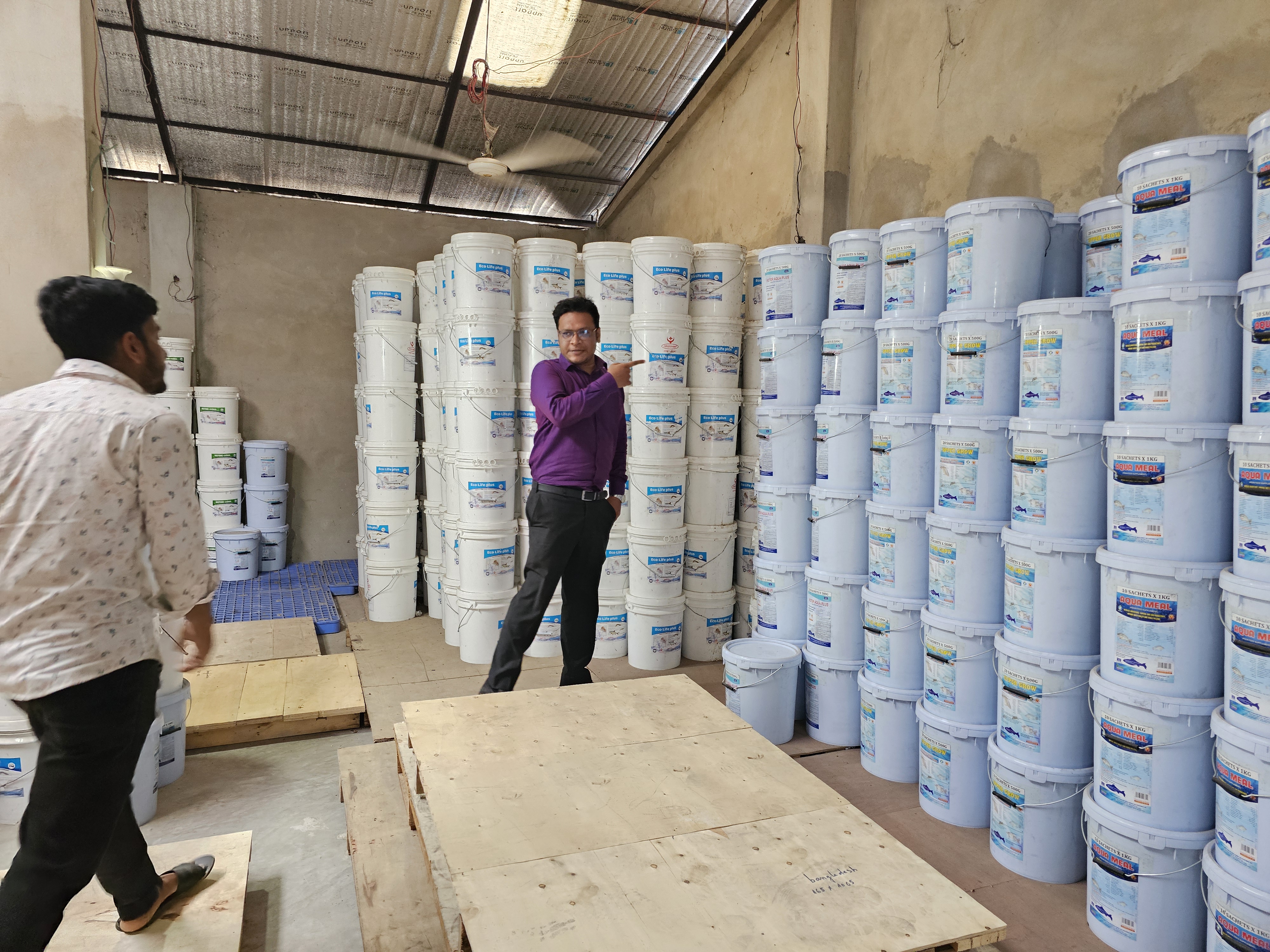 পরিদর্শন