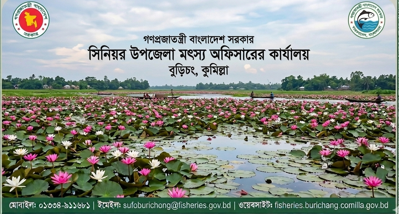 অফিসের নাম