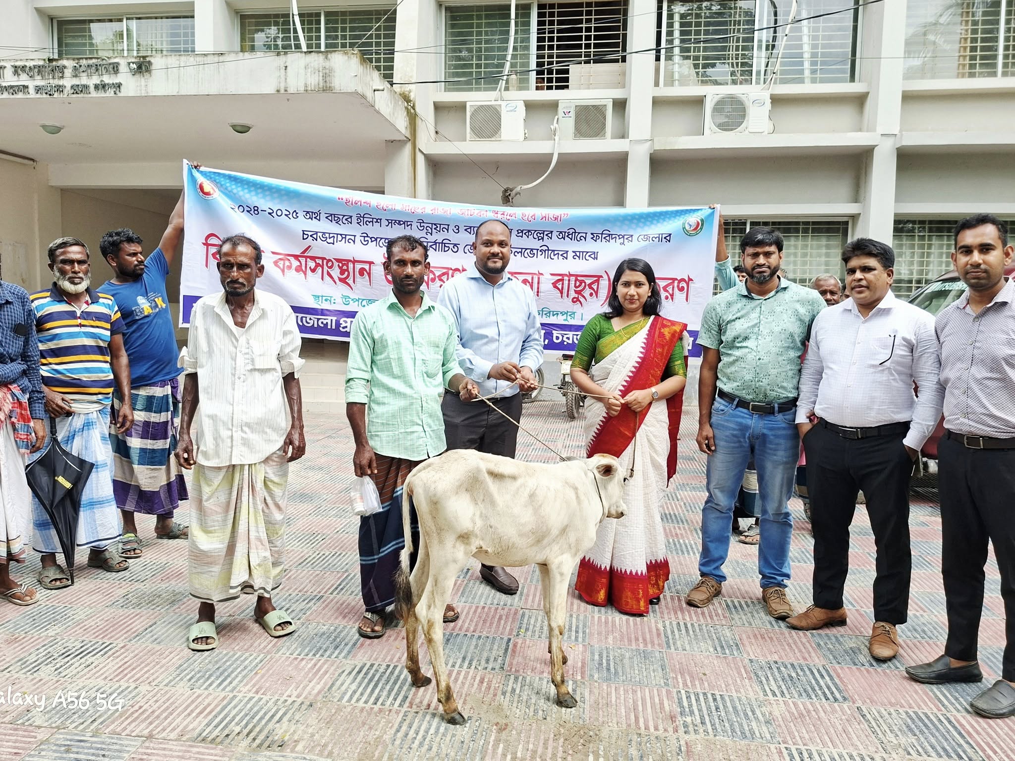 সুফলভোগীদের মাঝে 32 টি গরু (বকনা বাছুর) বিতরণ