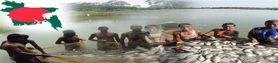 মাছ আহরনের ছবি