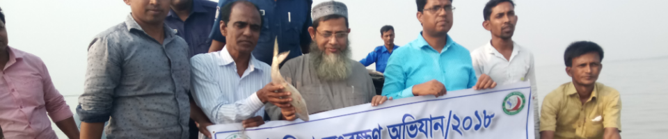 ইলিশ অভিযান