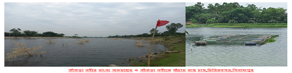 ব্যানার-১