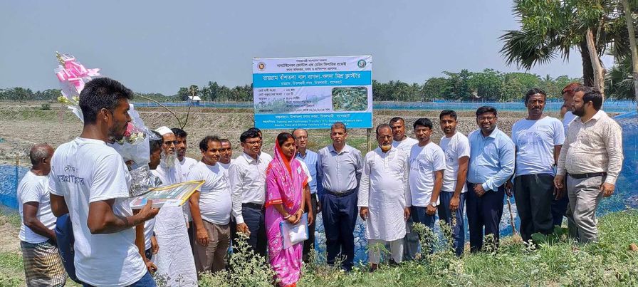 ক্লাস্টার ফার্ম পরিদর্শন