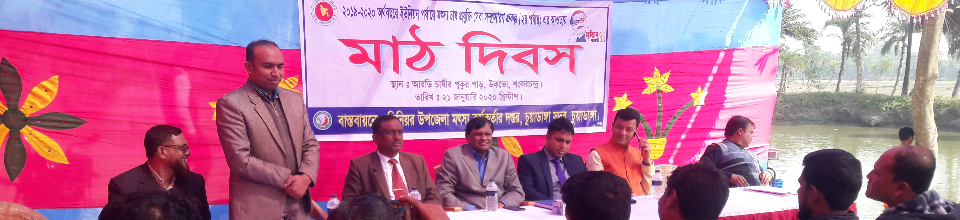 মাঠ দিবস