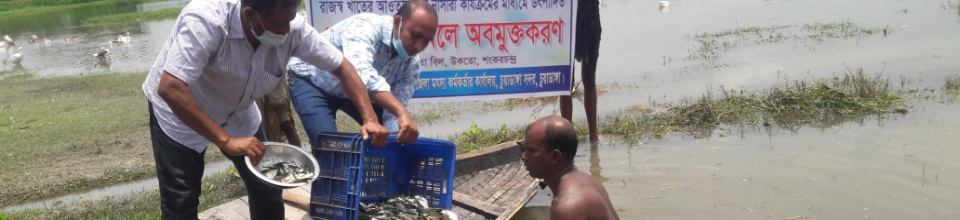 ২০১৯-২০ অর্থবছরে রাজস্ব খাতের আওতায় বিল নার্সারি কার্যক্রমের মাধ্যমে উৎপাদিত পোনা মাছ উক্তো বিলে উন্মুক্তকরণ