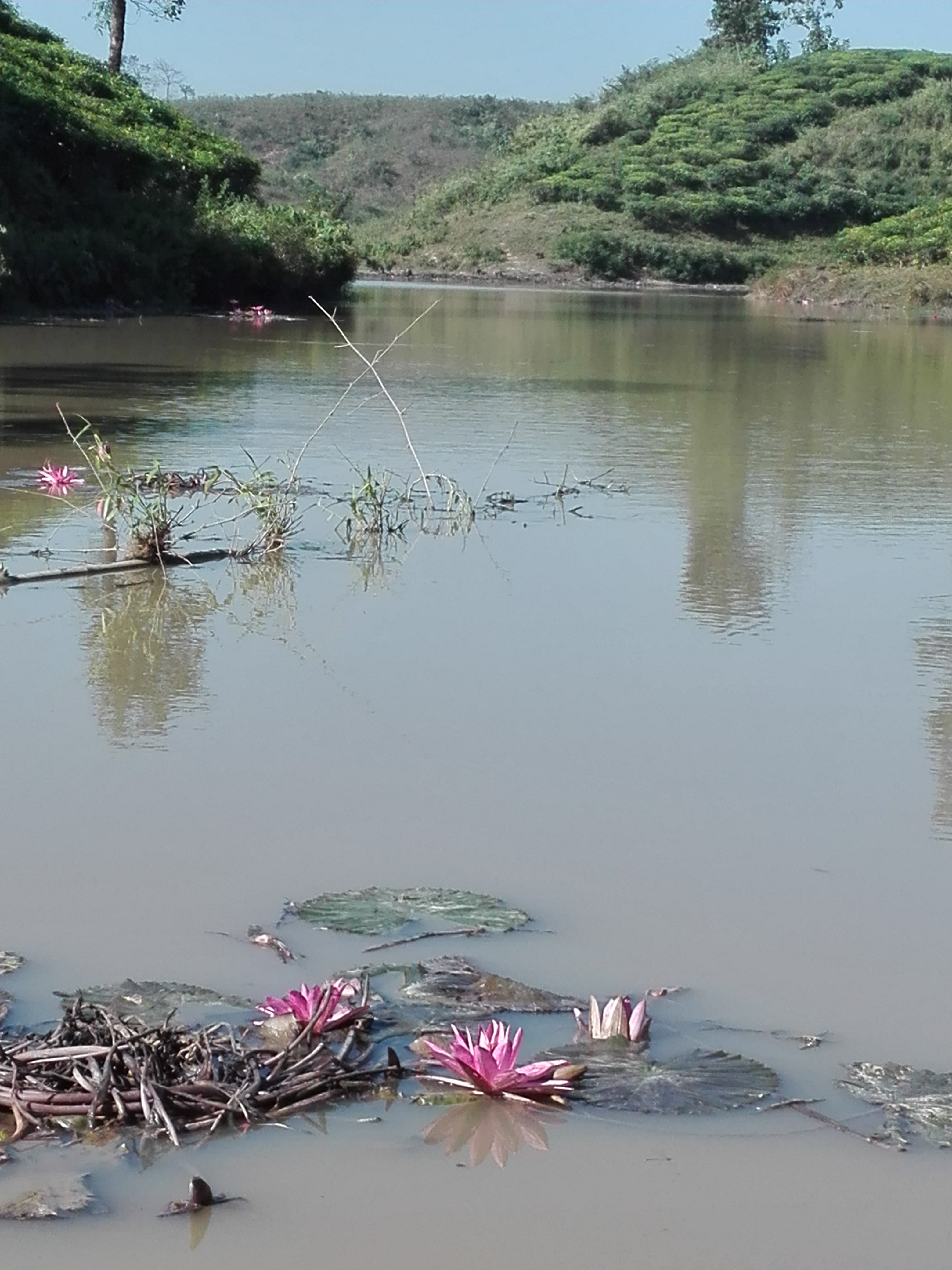 পাহাড়েও মাছচাষ