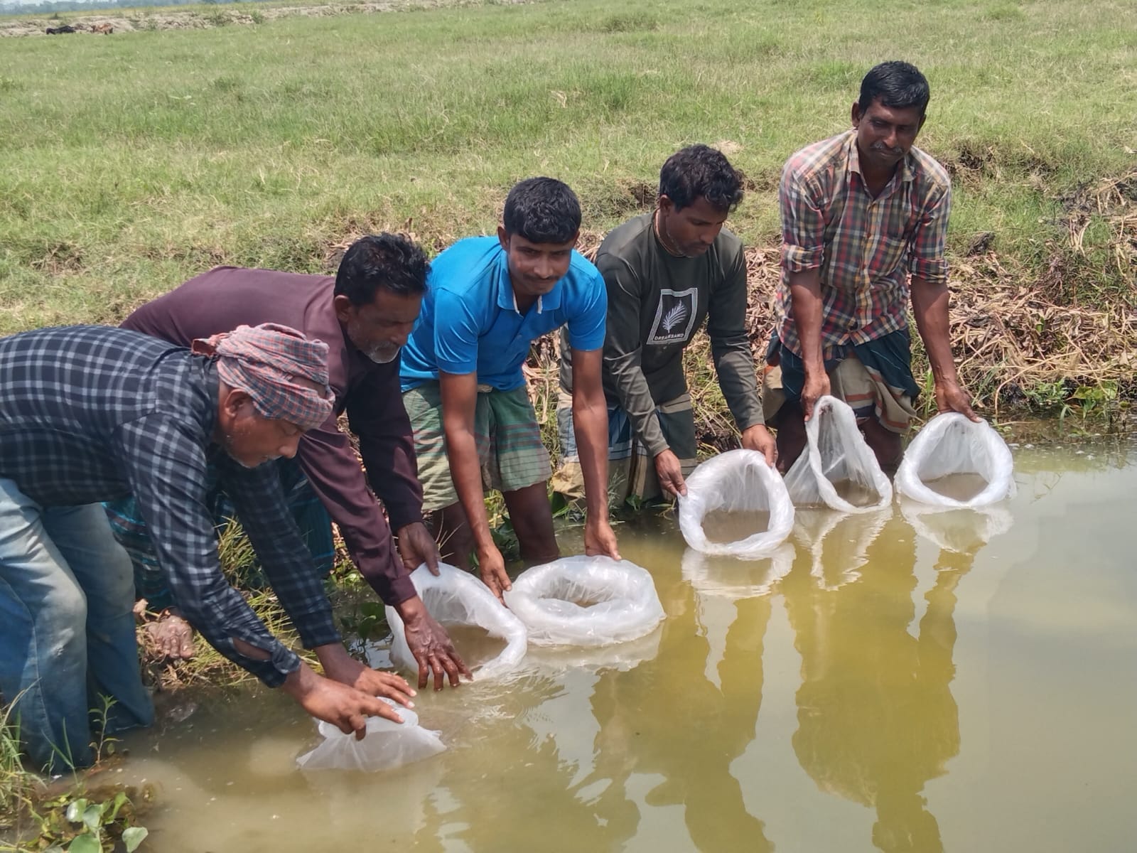বিল নার্সারিতে রেণু মজুদ