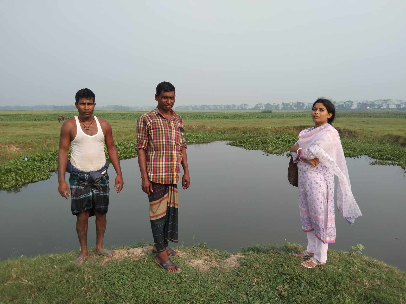 বিল নার্সাররর জন্য জায়গা পরিদর্শন