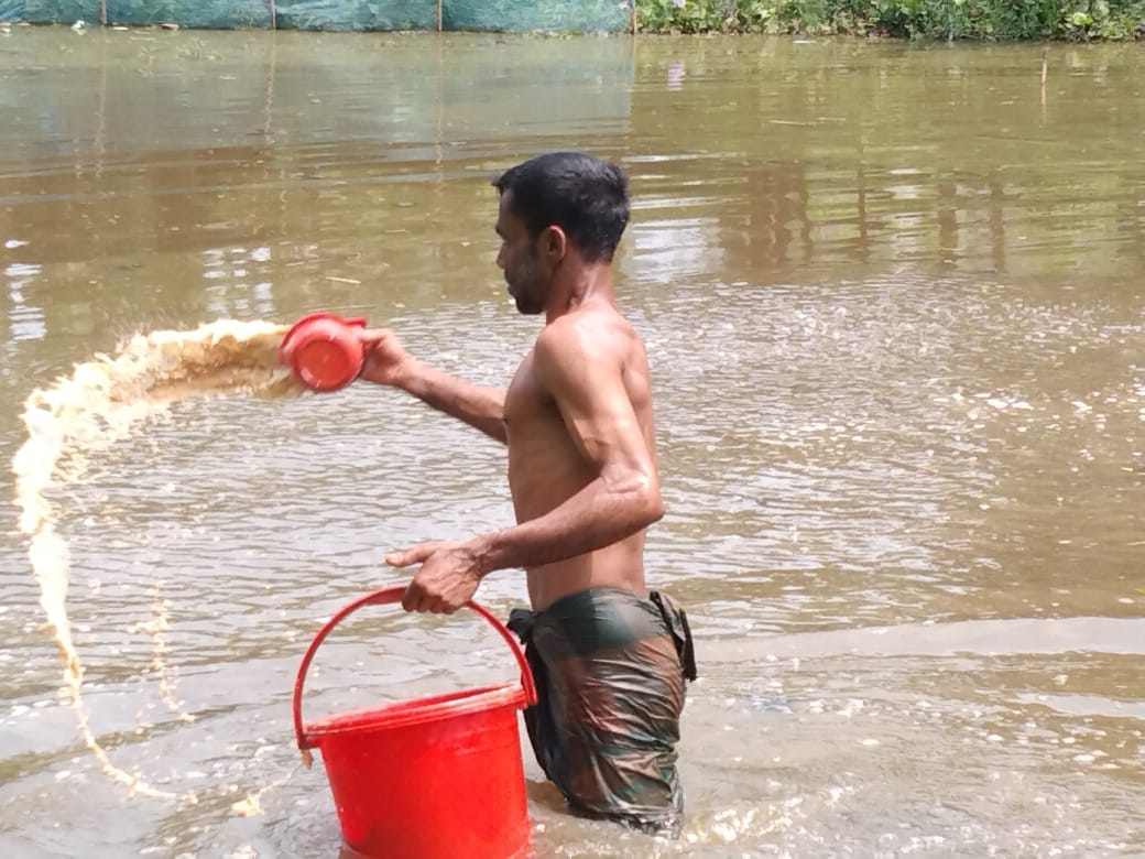 রোটেনন প্রয়োগ