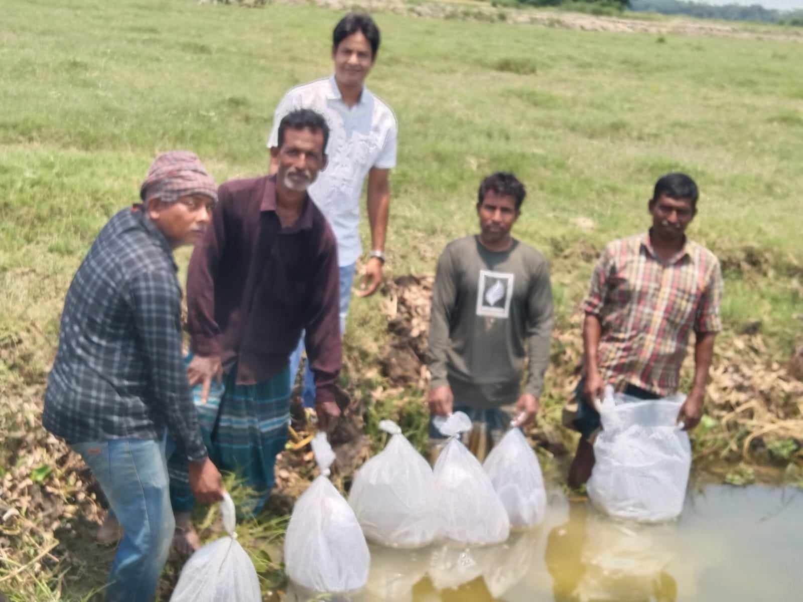 বিল নার্সারিতে রেণু মজুদ