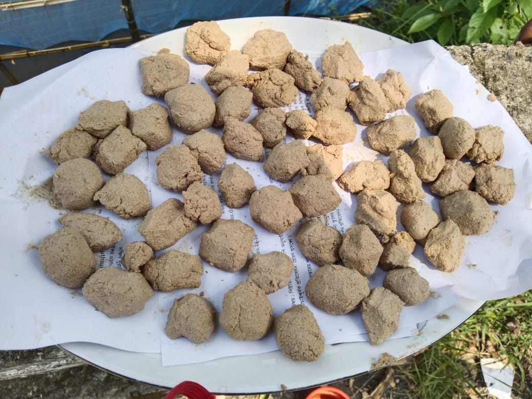 রাক্ষুসে মাছ সরানোর জন্য রোটেনন প্রয়োগ