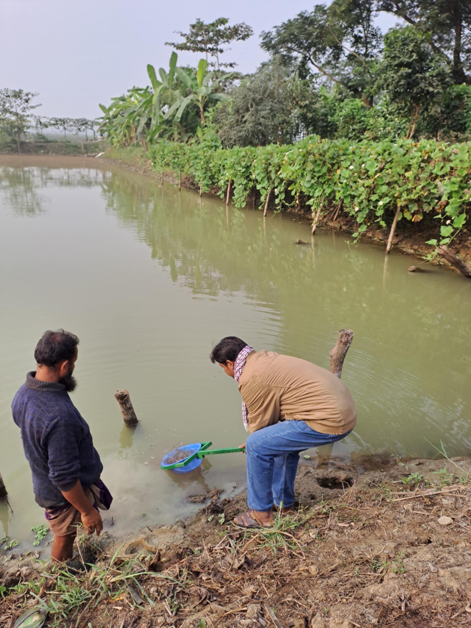 প্রদর্শনী পুকুরে পোনা মজুদ