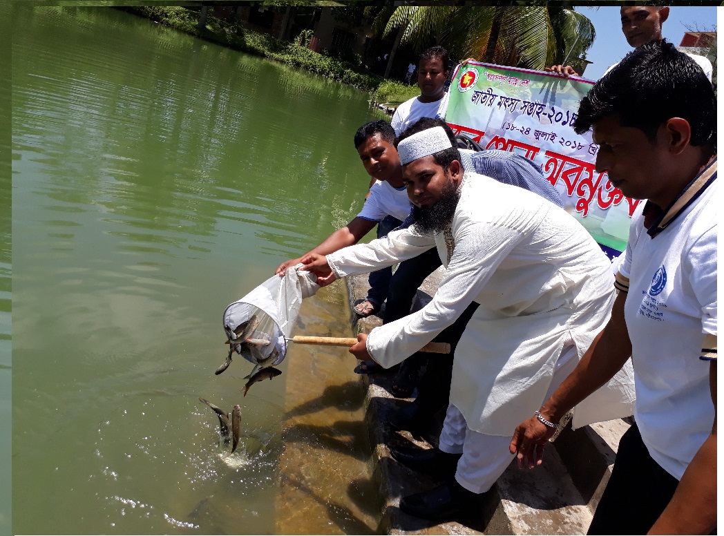জাতীয় মৎস্য সপ্তাহ-2018 18/07/18খ্রিঃ পোনা মাছ অবমুক্তকরন