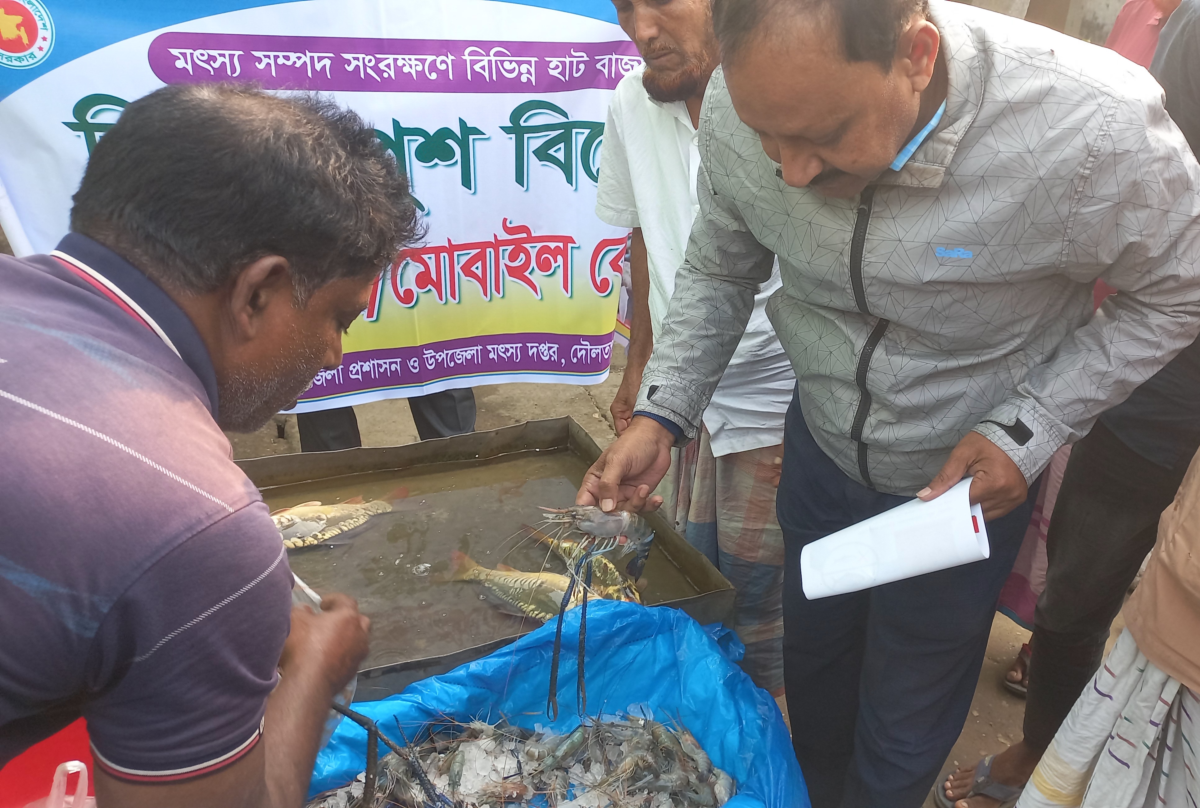 চিংড়িতে পুশ বিরোধী অভিযান