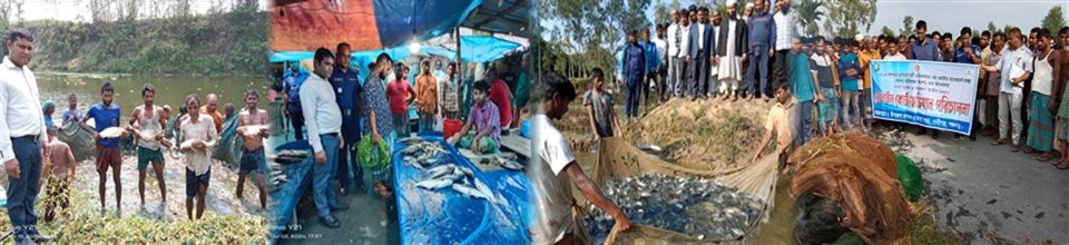 ব্যানার-১