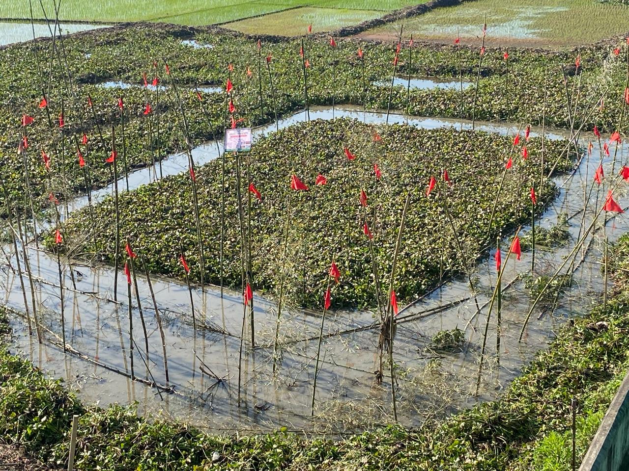 প্রশিক্ষণ