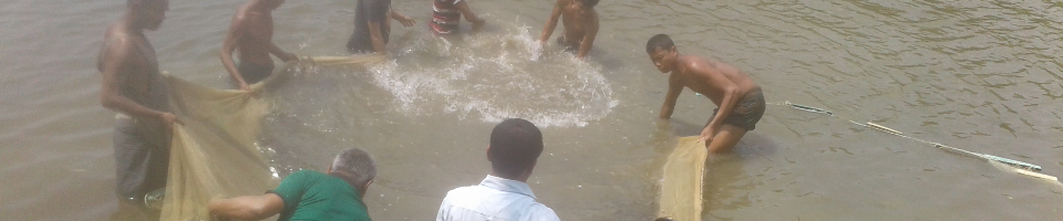 মাঠ পরিদর্শন