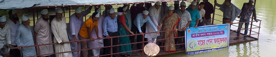 পোনা অবমুক্তি