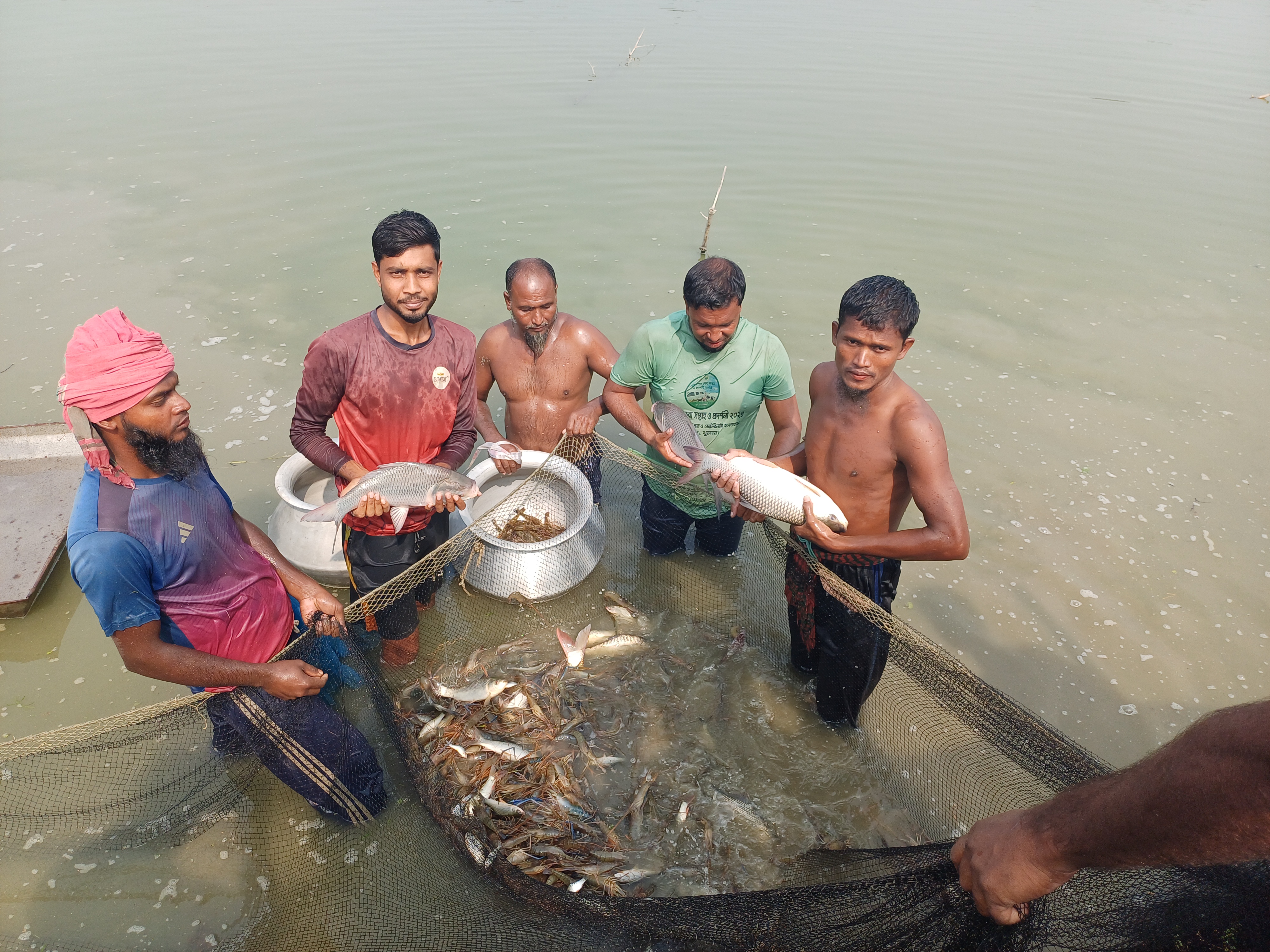 সংগ্রহ কার্যক্রম