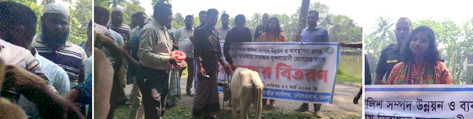 বিকল্প কর্মসংস্থান - ২