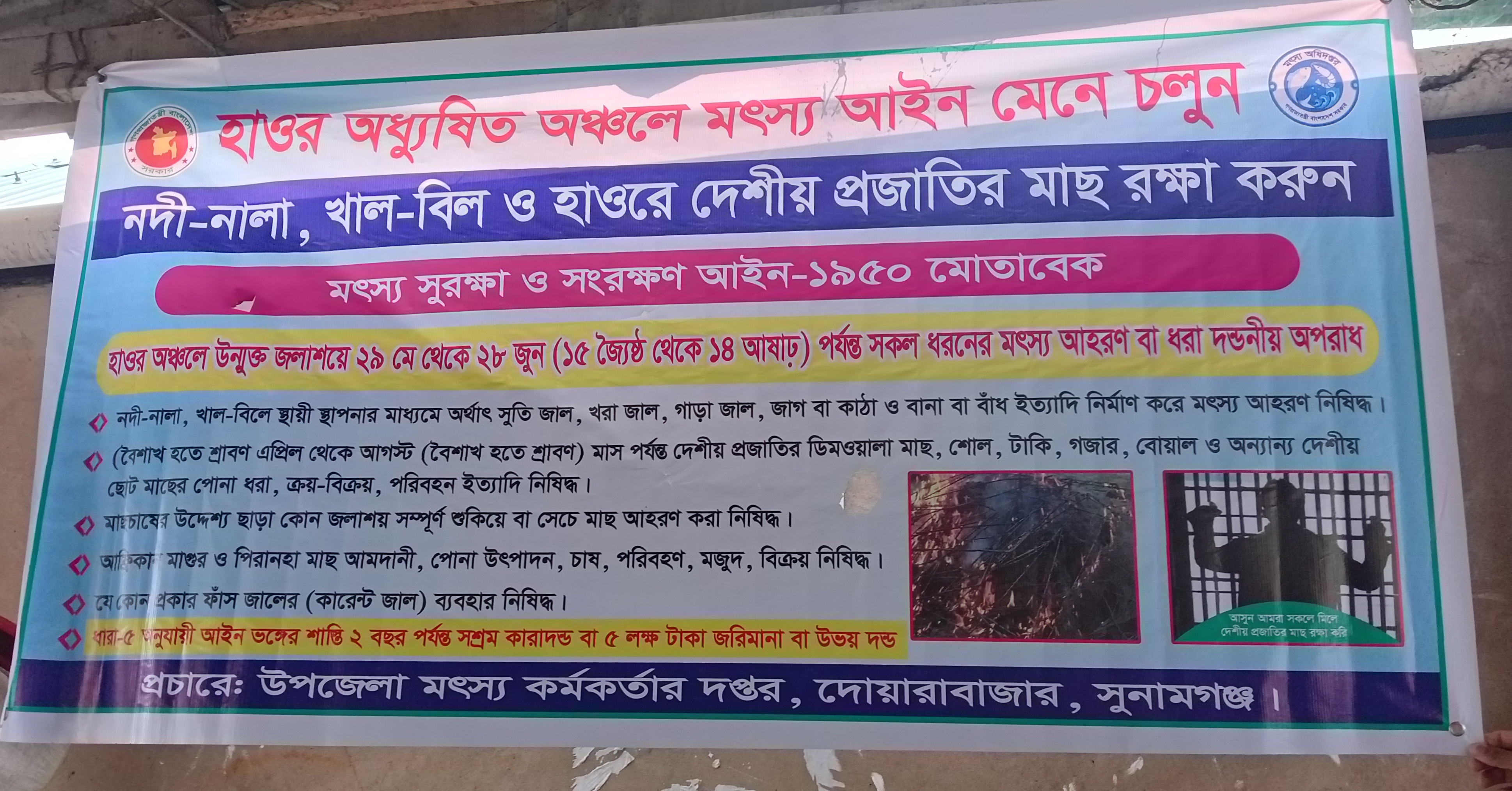 ব্যানার
