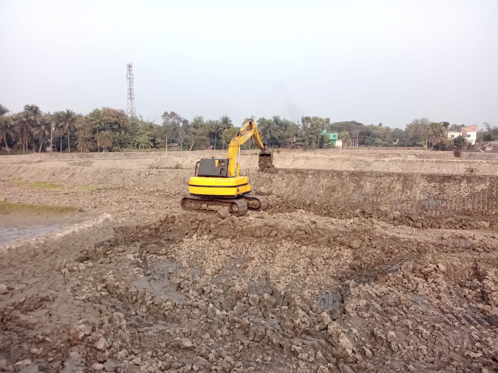 চিংড়ি চাষ সংক্রান্ত সচিত্র প্রতিবেদন