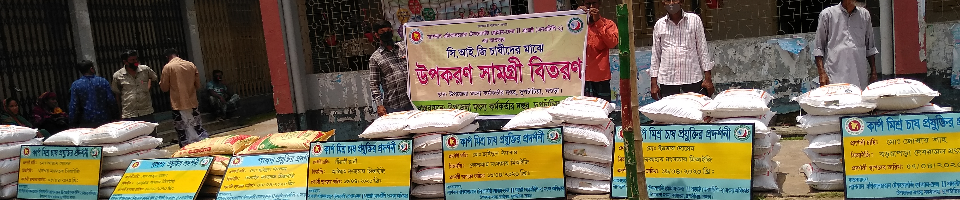 ব্যানার