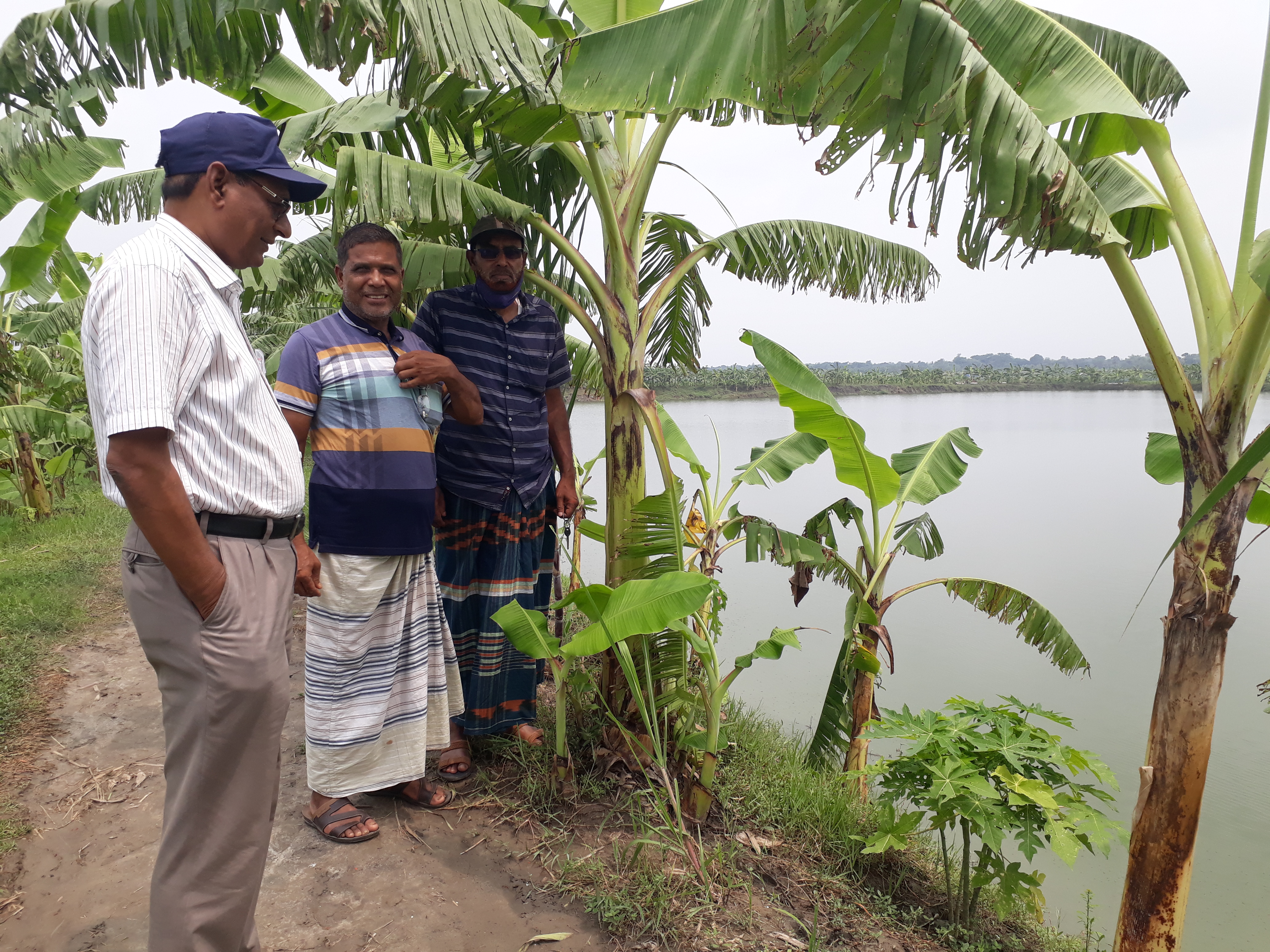 পুকুর পরিদর্শন