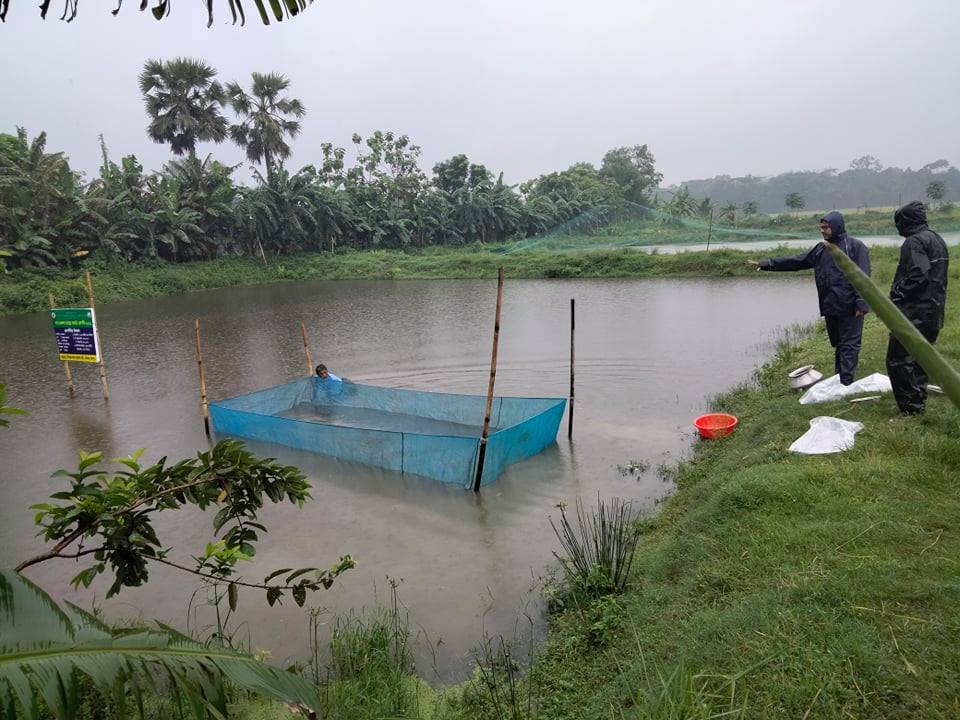 ইউনিয়ন পর্যায়ে মৎস্য চাষ প্রযুক্তি সম্প্রসারণ প্রকল্প