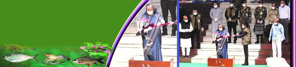 পোনা মাছ অবমুক্তকরন