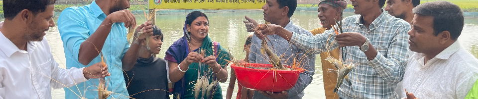 গলদা চিংড়ি