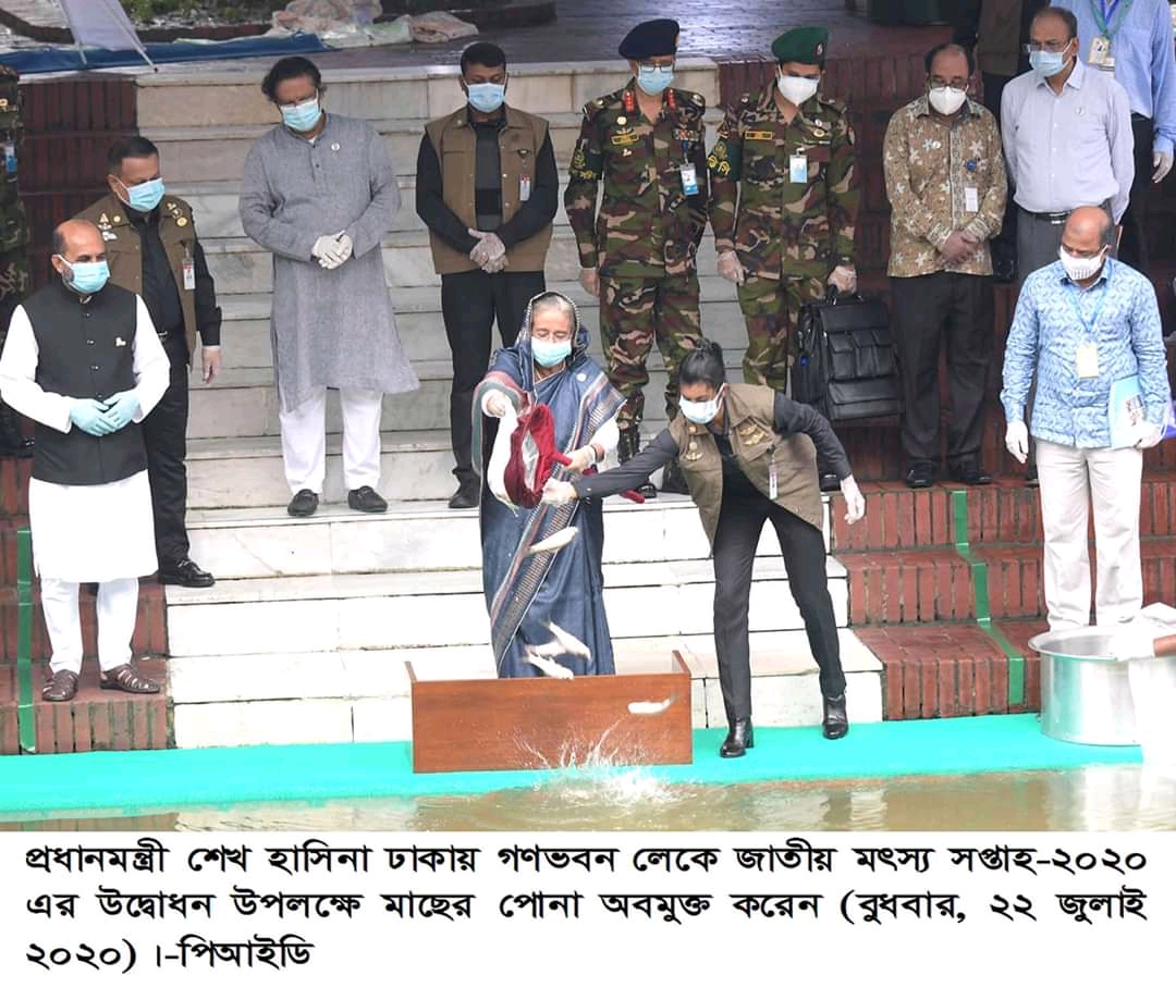 মাননীয় প্রধানমন্ত্রী শেখ হাসিনা জাতীয় মৎস্য সপ্তাহ ২০২০ উপলক্ষে মাছের পোনা অবমুক্ত করেন 