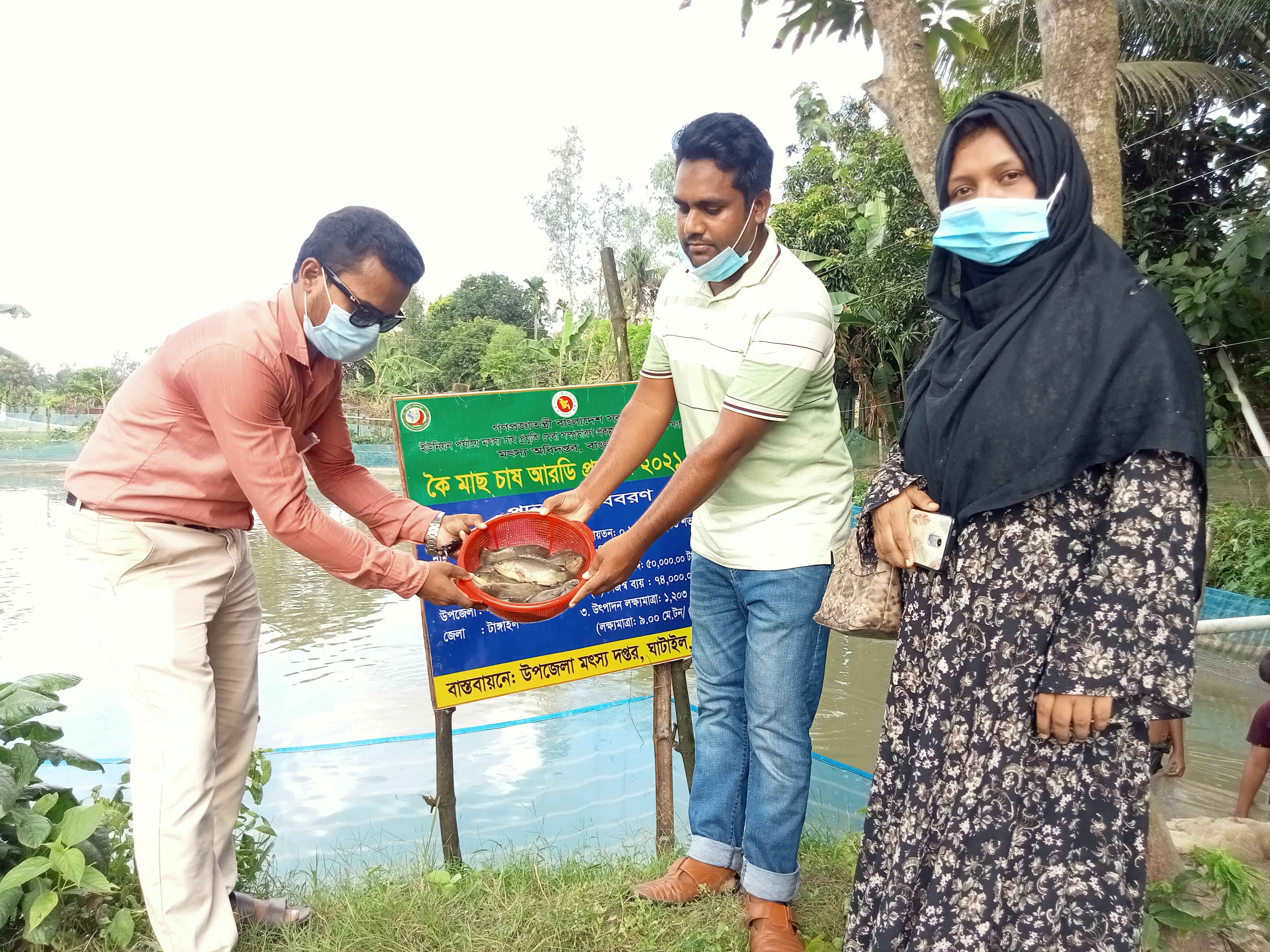 ইউনিয়ন পর্যায়ে মৎস্য চাষ প্রযুক্তি সেবা সম্প্রসারণ প্রকল্প (২য় পর্যায়) (২য় সংশোধিত) এর আওতায় প্রদর্শনী পুকুরের মাছ আহরণ
