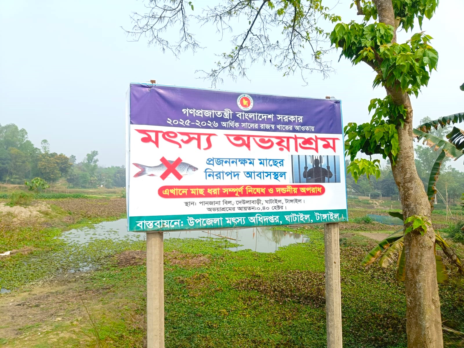 অভয়াশ্রম