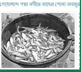 উপজেলা মৎস্য বিভাগের বিভিন্ন অনুষ্ঠানের ছবি