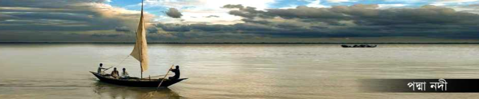 পদ্মা নদী