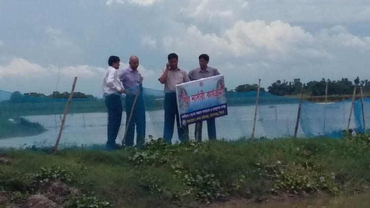 বিল নার্সারী পরিদর্শন