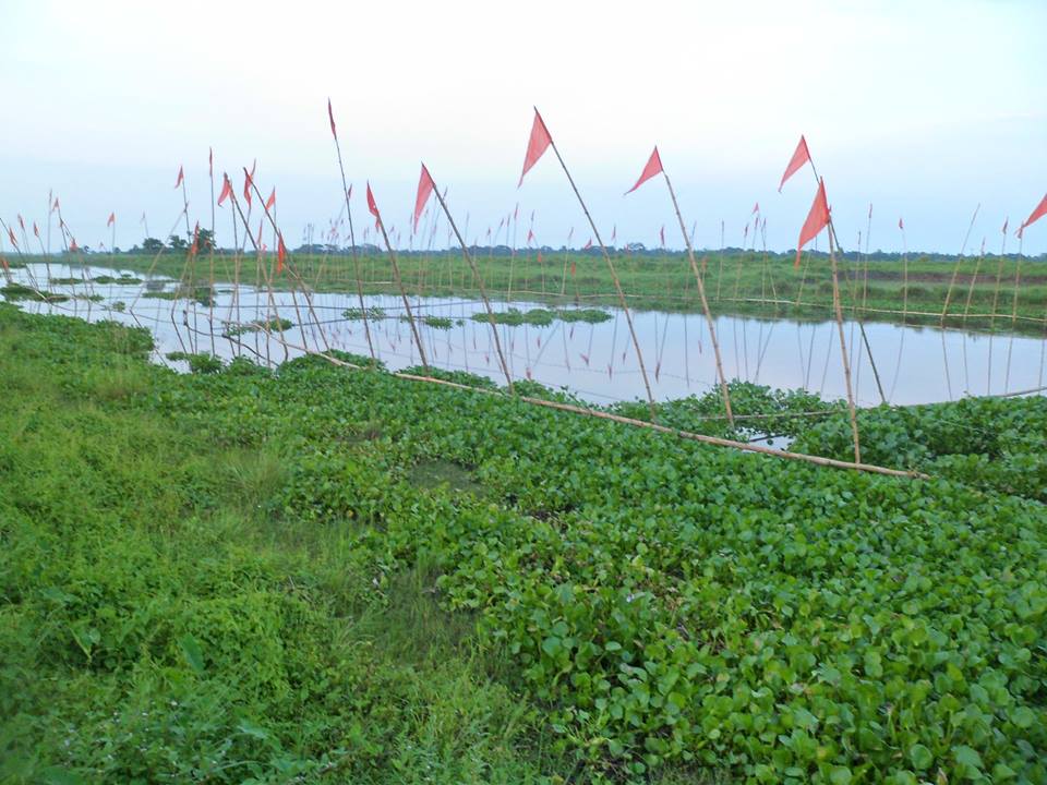 বুলবুলির খাল মৎস্য অভয়াশ্রম।