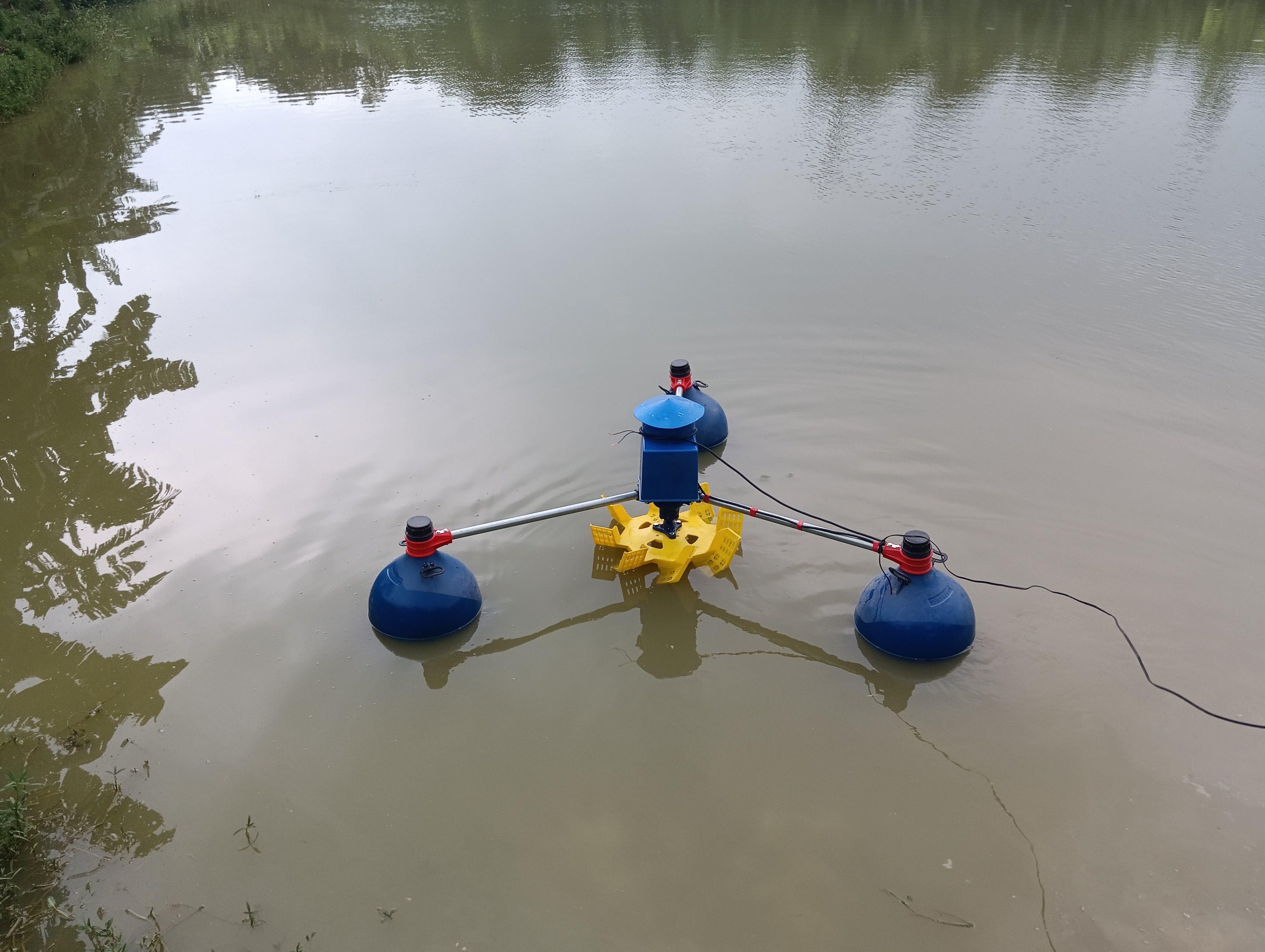 মৎস্যজীবীদের মাঝে মৎস্য খাদ্য ও পুরষ্কার বিতরণ ২০২৪